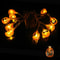 LED Halloween Pumpkin String Lights 3