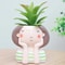 Little People Mini Succulent Planter 3