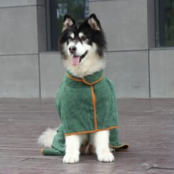 super absorbent pet bathrobe