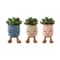 sillysucculentplushies 3pcs
