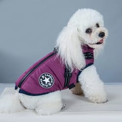 waterproof winter jacket with built-in harness – dog coat for cold weather