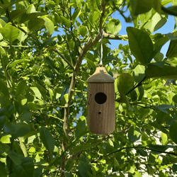 wooden hummingbird house