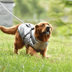 waterproof dog jacket with harness