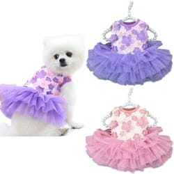 lace chiffon dog dress: flower fashion for parties, birthdays, weddings