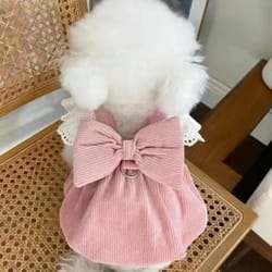 pet princess dress: small dog winter clothes & cat fashion coat