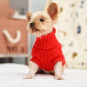 Dog Winter Clothes Knitted Pet Sweater For Small Medium Dogs Chihuahua Yorkshire Puppy 0