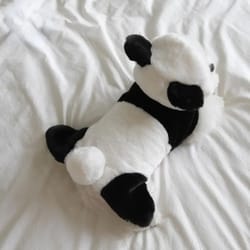 autumn winter pet plush coat: panda costume for dogs & cats