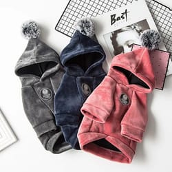winter pet hoodies: warm clothes for small dogs
