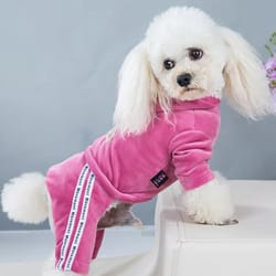 pet dog clothes: stylish four-legged fashion for all seasons