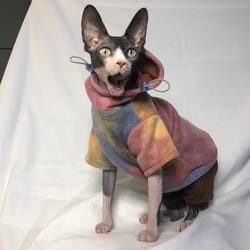sphynx cat & dog hoodie: luxury autumn/winter fashion for hairless pets