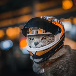 full face pet motorcycle helmet | outdoor riding hat for cat & puppy