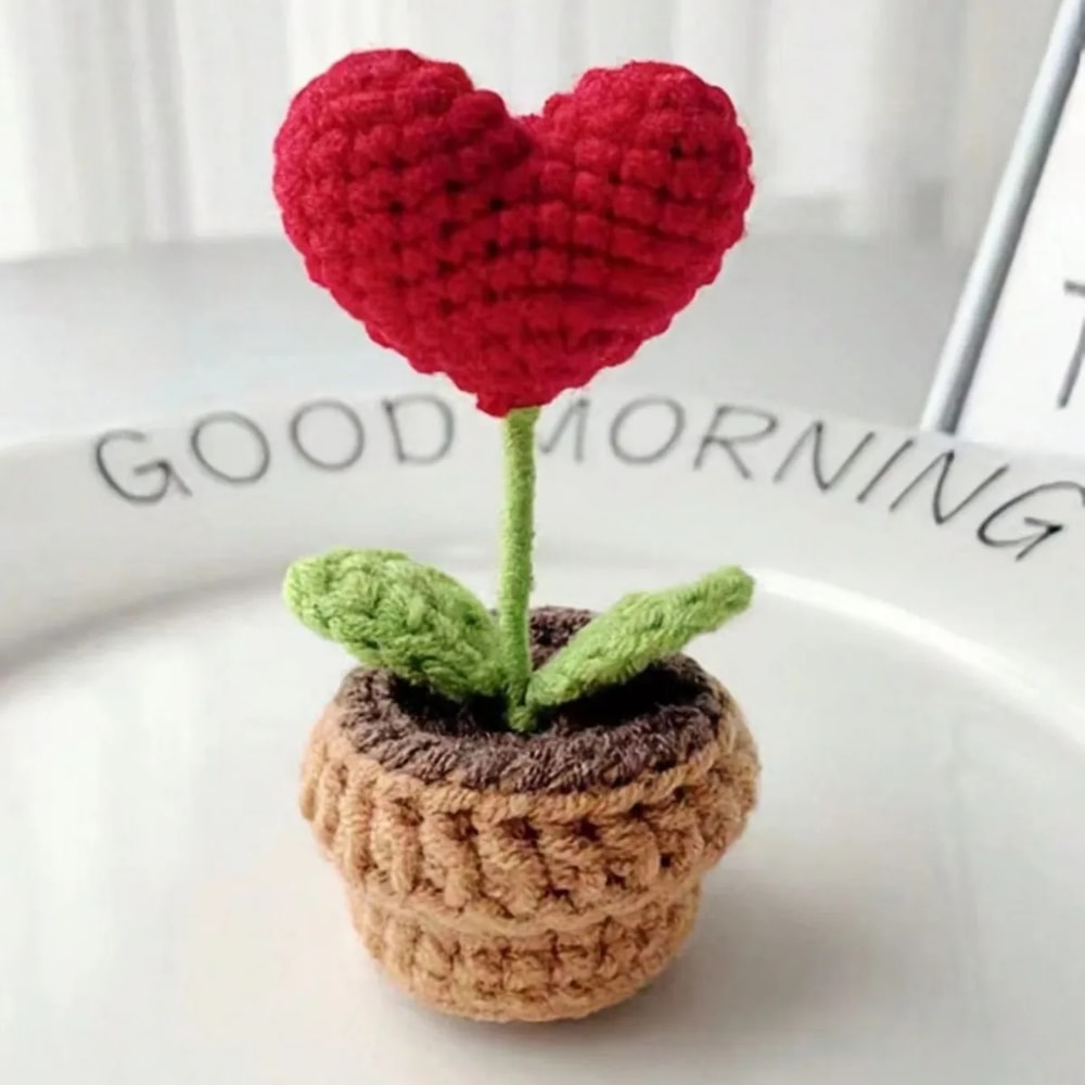 Handmade Knitted Flower Pot, Red Heart Shaped Planter, Valentine's Day Gift, Home Desktop Decor