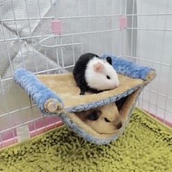 warm velvet small pet hammock hanging bed for hamsters guinea pigs and chinchillas