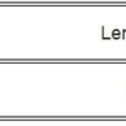 wildlace leopard crop top