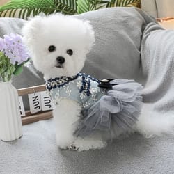 cozy grey blue princess pet dress for autumn and winter