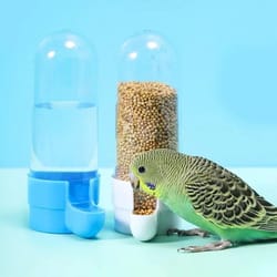 clip-on bird water feeder bottle with drinking cup | automatic parrot cage water dispenser for parakeets & finches