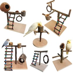 solid wood parrot training stand tabletop bird perch playground
