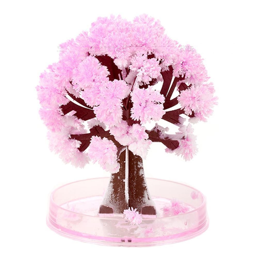 Magic Cherry Blossom Tree 3
