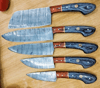 Master-Your-Kitchen-5-Piece-Professional-Chef's-Knife-Set-by-BladeMaster (9).png