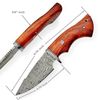 BM Exclusive Handcrafted Damascus Steel Hunting Knife - Fixed Blade, Full Tang, Perfect Gift for Him (6).jpg