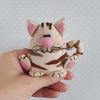 Cat pattern, stuffed animal toys felt or plush.jpg