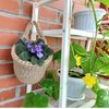 Jute-plant-hanger (1).jpg