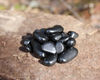 shungite tumbled2.jpg