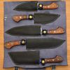 damascus steel knives set in Illinois.jpg