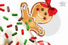 Christmas Gingerbread gnome_02.JPG