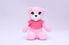 strawberry bear stuffed toy