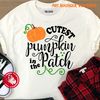 Cutest pumpkin in the patch art boutique butterfly.jpg