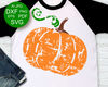 pumpkin Grunge svg.jpg