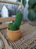 Amigurumi penis crochet pattern 5.jpg