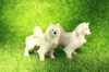 figurine-samoyed-glass