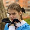 Halloween-bat-wings-scrunchie-hair-tie-goth-accessory-girls-women-Halloween-party-gift-spooky-set.jpg