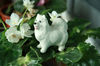 Figurine Samoyed, Spitz porcelain