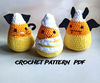 CROCHET PATTERN PDF.jpg