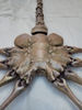 facehugger8.jpg