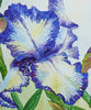 White Blue Iris_29x24_2.jpg