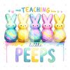 Cute Easter Teacher Clipart, Teaching Little Peeps PNG, Easter Bunny Png, Retro Easter Png, Easter Sublimation Design, Digital Download.jpg