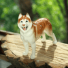 figurine-red-husky-statue (9).JPG