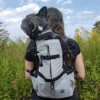 sacktrainerdogcarrierbackpackgray.png