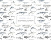 6 Underwater world watercolor seamless pattern.jpg