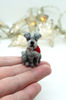 miniature-schnauzer-3