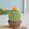 Mini cactus crochet pattern