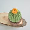 Mini cactus crochet pattern