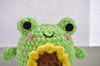 Amigurumi frog pattern .jpeg