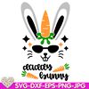 Easter-bunny-Daddy-Easter-bucket-My-first-Easter-Easter-Cutie-Rabbit-Chik-digital-design-Cricut-svg-dxf-eps-png-ipg-pdf-cut-file.jpg