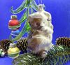 soviet-christmas-glass-toy-bear.JPG