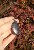 abalone-tree-of-life-pendant-2.jpg